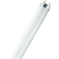 Tube fluorescent Osram Mat G13 18 W L 18 W/830 Blanc chaud 25 Unités