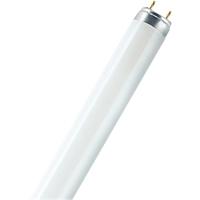 Tube fluorescent Osram Mat G13 18 W Blanc froid 25 Unités