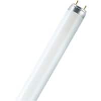 Ampoule fluorescente Osram Tubular Mat G13 36 W Blanc chaud 25 Unités