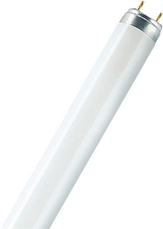 Tube fluorescent Osram Mat G13 58 W L 58 W/830 Blanc chaud 25 Unités