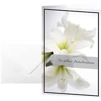 Carte de condoléances motif Amaryllis blanc Sigel DS006 220 g/m² 11.5 x 17 cm A6 Assortiment 10 unités