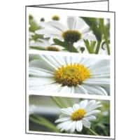 Sigel Grußkarten Blumen 220 g/m² Sortiert 25 Stück