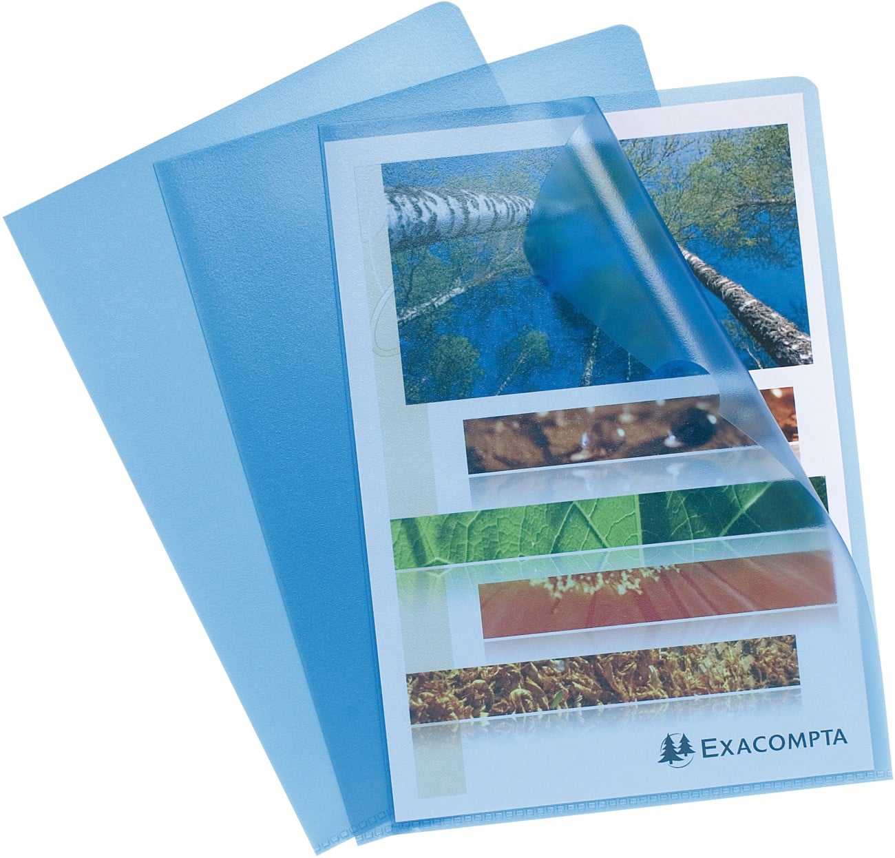 Exacompta Klarsichthülle 56112E A4 PP (Polypropylen) Blau 100 Stück