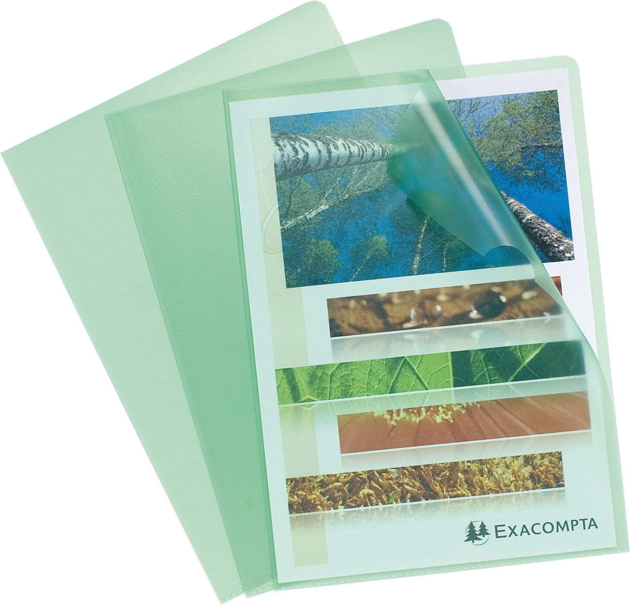 Exacompta Klarsichthülle 56113E A4 PP (Polypropylen) Grün 100 Stück