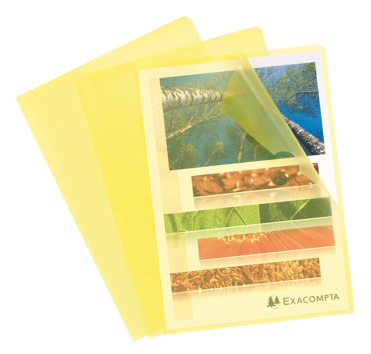 Pochettes coin Exacompta 56116E A4 12/100E Polypropylène Jaune 100 unités