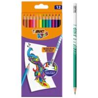 Crayons de couleur effaçables BIC 987868 Assortiment 12 unités