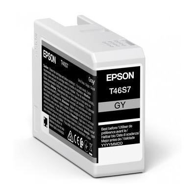 Epson T46S7 Original Tintenpatrone C13T46S700 Grau