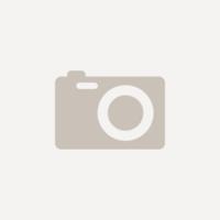 Wenger Laptop-Rucksack Chasma 606482 16 " Synthetisches Neopren Navy Blau