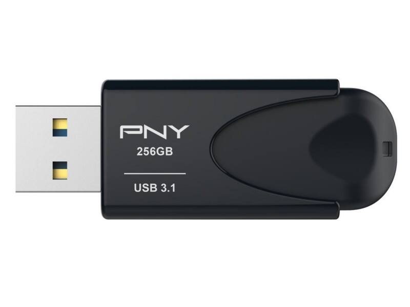 Clé USB PNY 776731 256 Go Noir