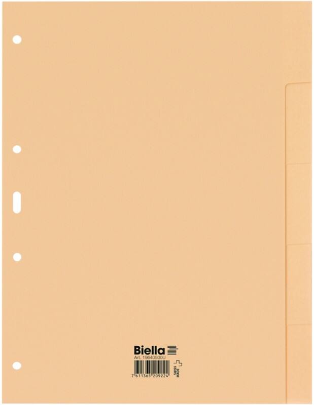 Biella Register A4 Blanko braun 5-teilig Karton blanko Packung mit 50 Stück