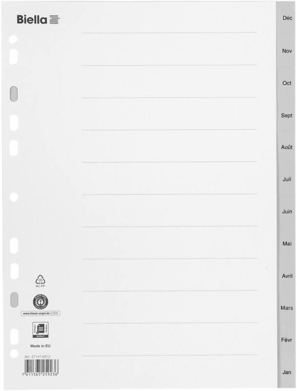 Biella Jan - Dez Register A4 Grau Grau 12-teilig PP (Polypropylen) 0471414.91 25 Stück