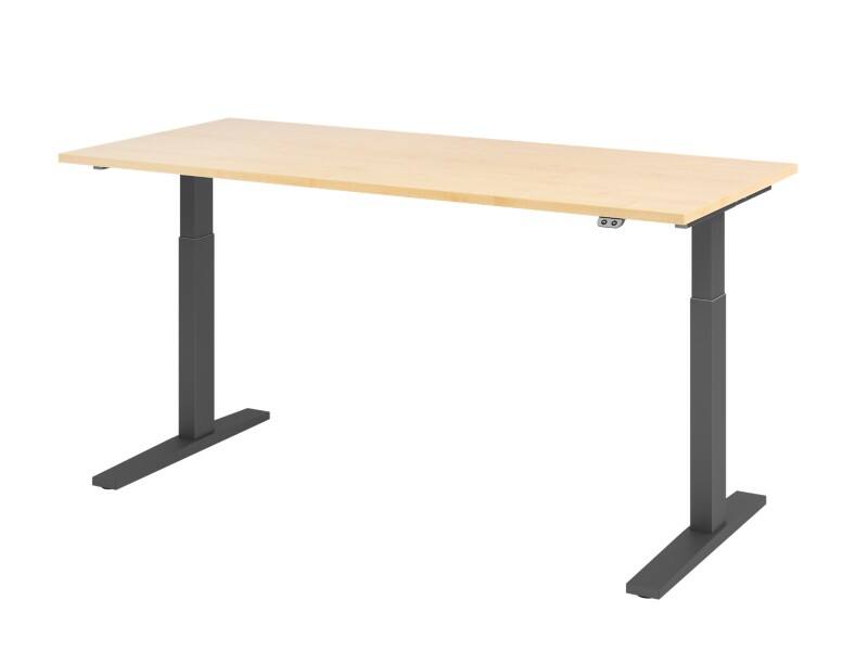 Hammerbacher VXMKA Elektrisch Höhenverstellbar Sitz-Stehschreibtisch Ahorn C-Fuß 1.800 (B) x 800 (T) x 1.200 (H) mm Spanplatte, Stahl