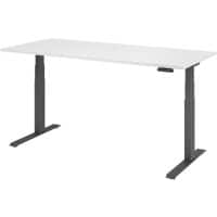 Bureau assis-debout Hammerbacher VXDKB19/W/G Blanc 1 800 x 800 mm