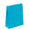 RAJA Fourre-tout Papier Turquoise 40 x 14 x 35 cm 50 Unités