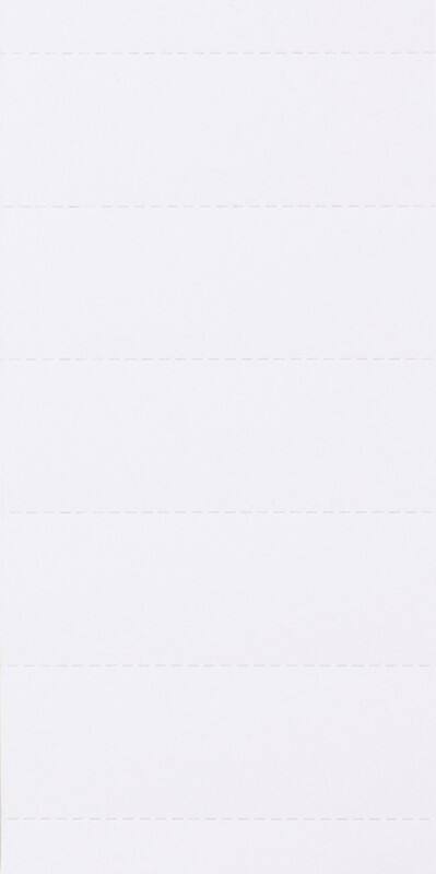 Intercalaires pour dossiers suspendus 1601 Carton Blanc 2,1 x 6 cm 100 Unités