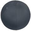 Ballon d'assise Leitz Ergo Cosy Active 5279 Poignée de transport Lavable Jusqu'à 100 kg Gris 65 cm