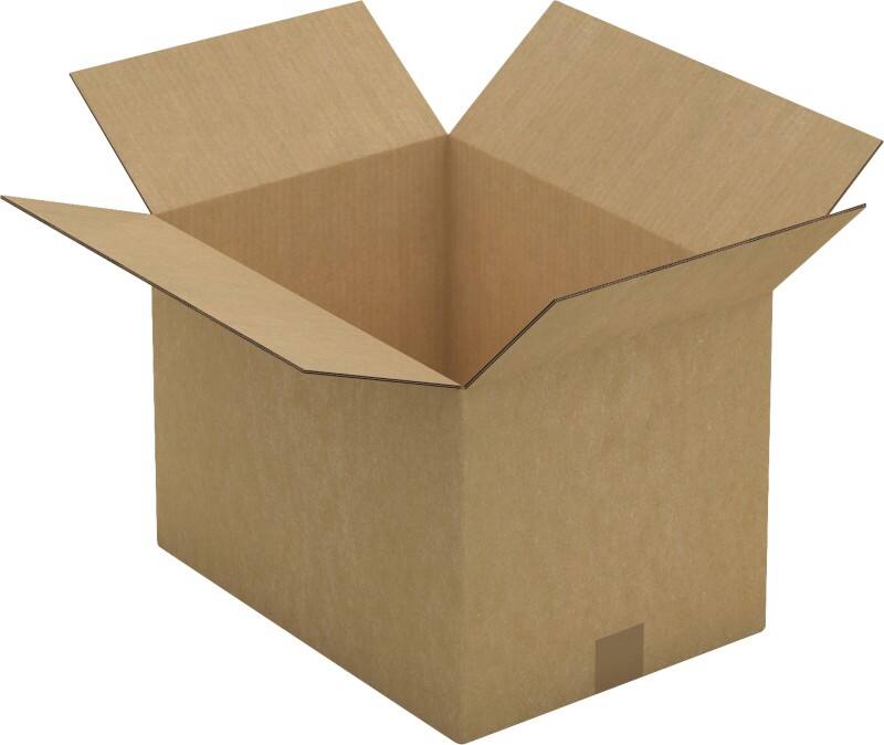 Raja Wellpappkarton CAD13E Braun 10 Stück