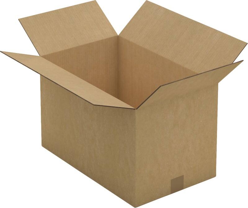 Raja Wellpappkarton CAD17 Braun 15 Stück