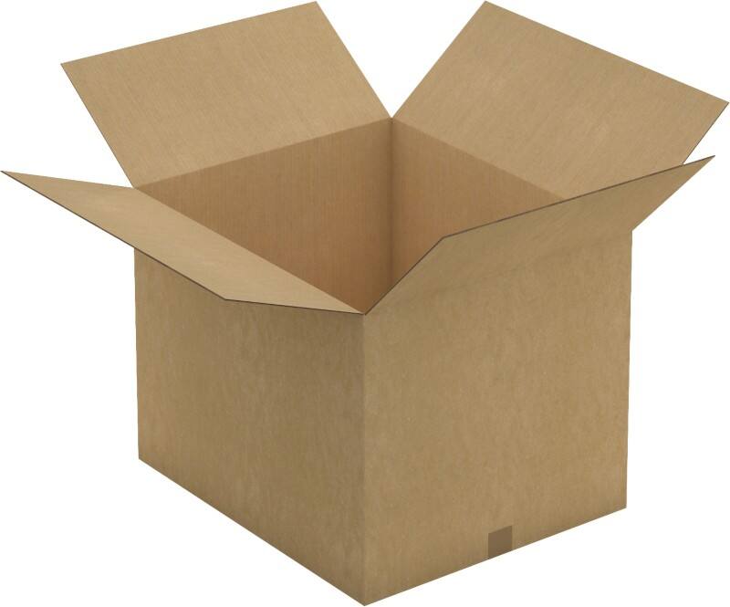 Raja Wellpappkarton CAD33 Braun 10 Stück