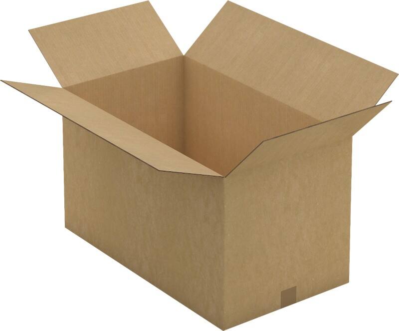 Raja Wellpappkarton CAD35 Braun 10 Stück