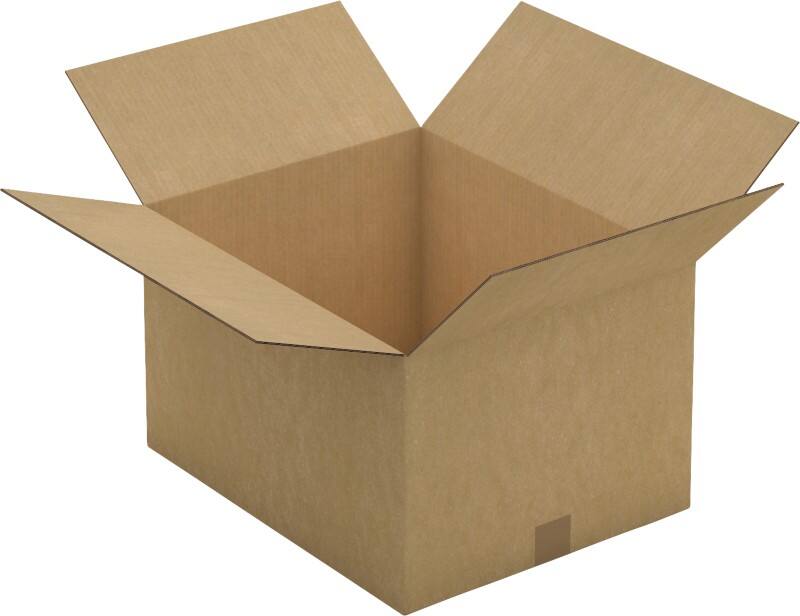 Raja Wellpappkarton CAD60DE Braun 10 Stück