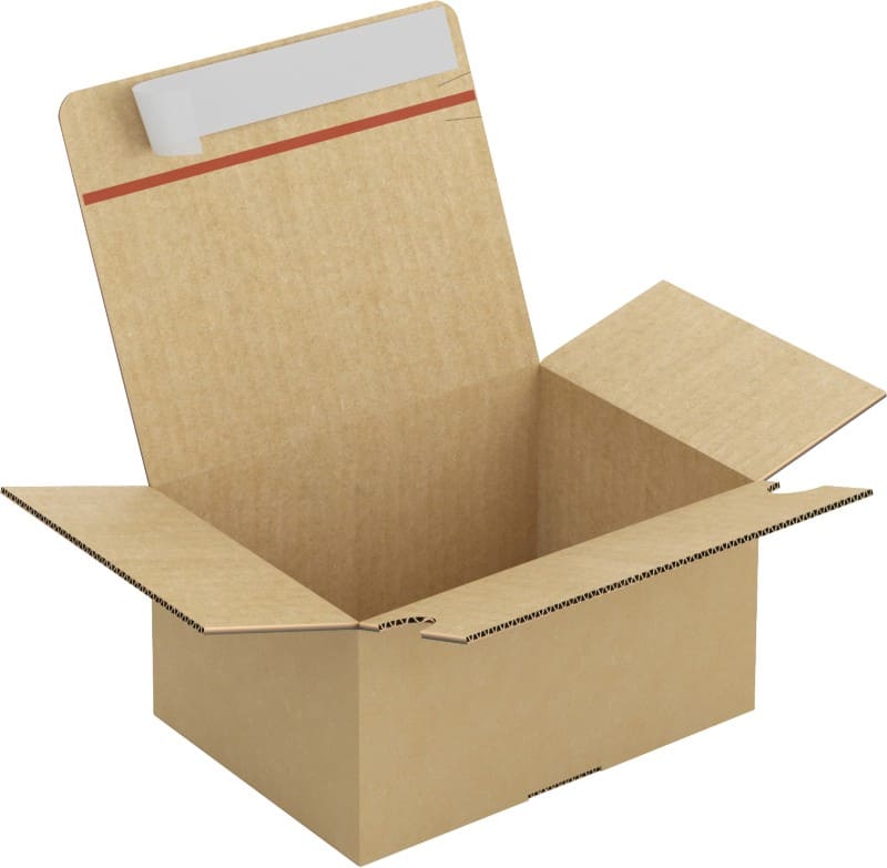 Caisse en carton Raja Marron 215 x 155 x 110 mm 20 Unités