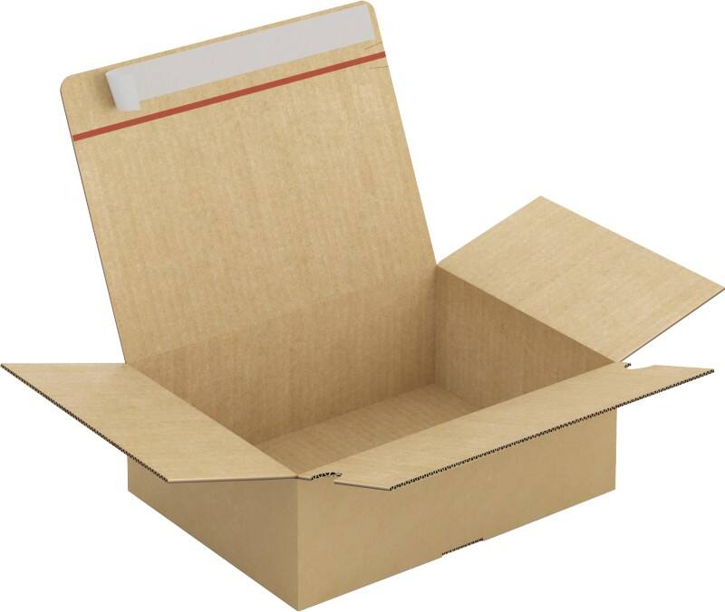 Caisse en carton Raja Marron 310 x 230 x 110 mm 20 Unités