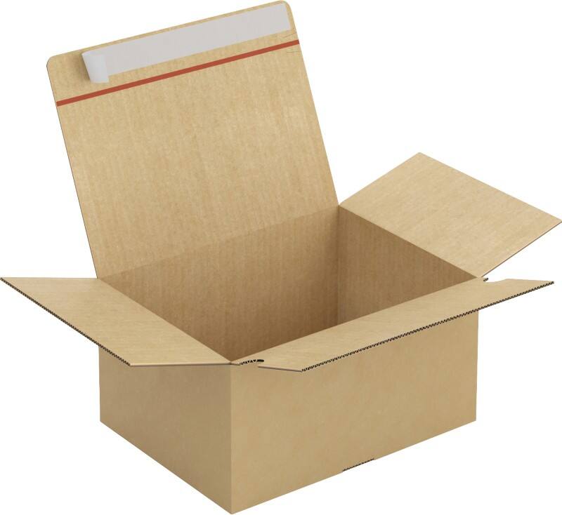 Raja Wellpappkarton PF42 Braun 20 Stück