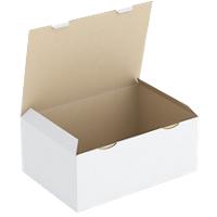 RAJA Boîte d'expédition Paroi simple Carton 300 (l) x 180 (P) x 430 (H) mm Blanc 50 Unités