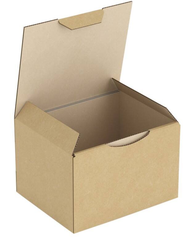 Raja Versandkarton RPT03 120 x 100 x 80 mm Braun 50 Stück