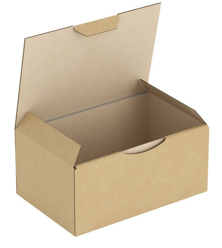 Raja Versandkarton RPT05 Braun 50 Stück