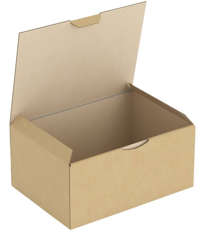 Raja Versandkarton RPT11B Braun 50 Stück