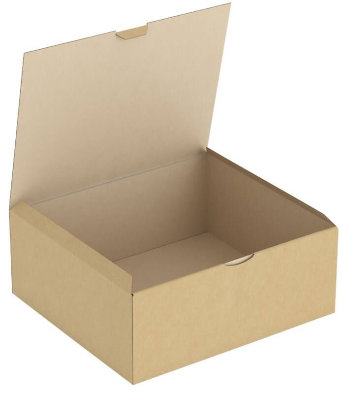 Raja Versandkarton RPT20B Braun 50 Stück