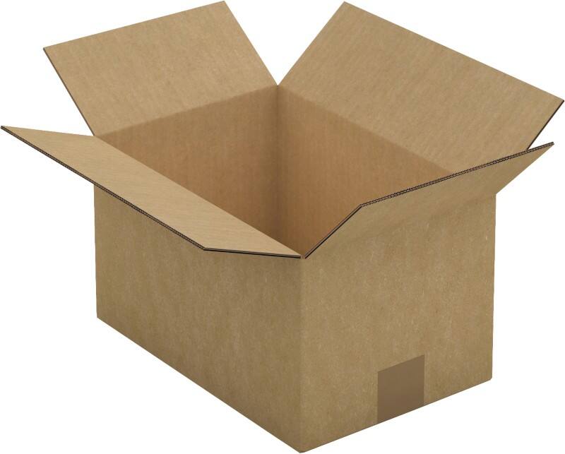 Raja Wellpappkarton CAS02 Braun 25 Stück