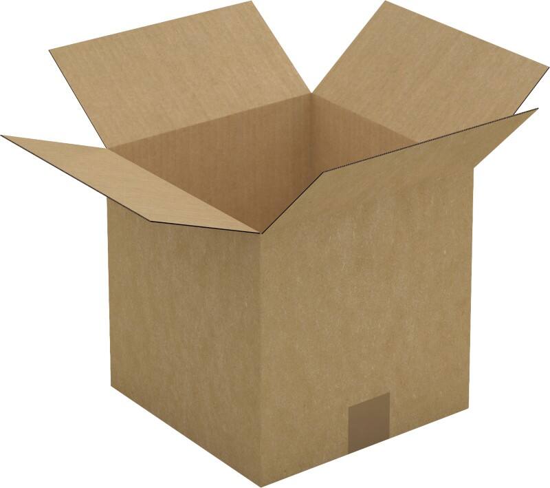 Raja Wellpappkarton CAS10 Braun 25 Stück