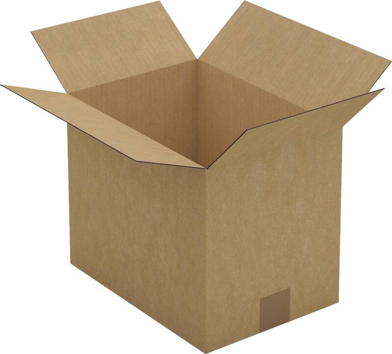 Raja Wellpappkarton CAS15B Braun 25 Stück