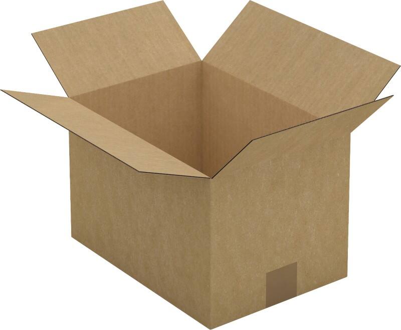 Raja Wellpappkarton CAS15C Braun 25 Stück