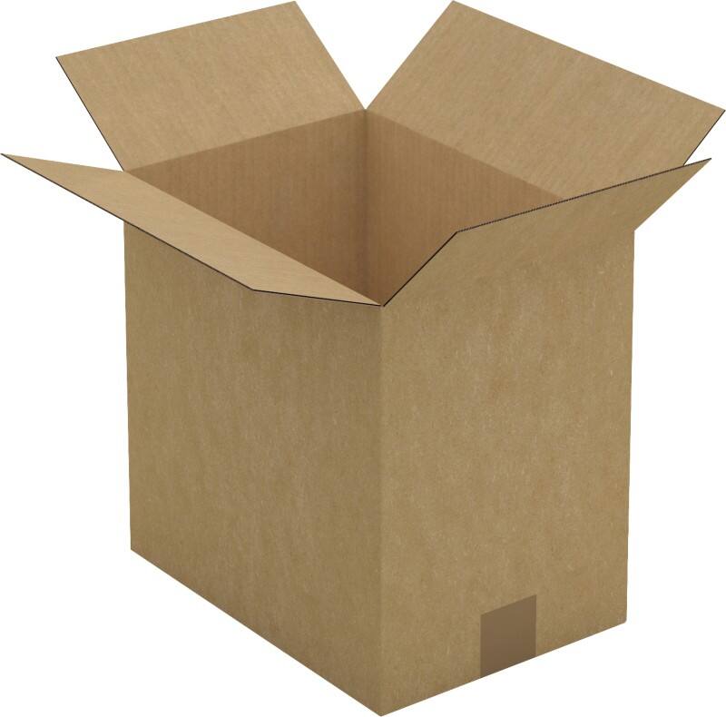 Raja Wellpappkarton CAS15D Braun 25 Stück