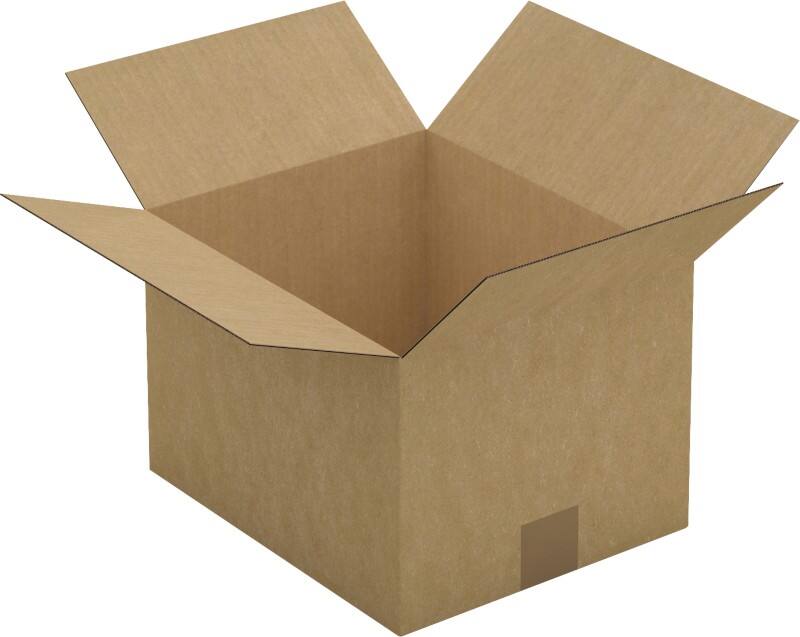 Raja Wellpappkarton CAS17 Braun 25 Stück