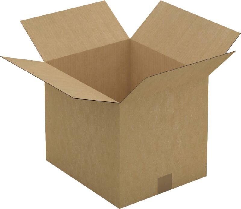 Raja Wellpappkarton CAS22D Braun 25 Stück