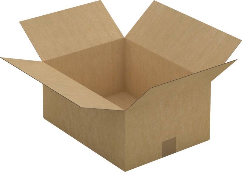 Raja Wellpappkarton CAS29 Braun 25 Stück