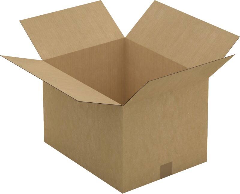 Raja Wellpappkarton CAS37A Braun 25 Stück