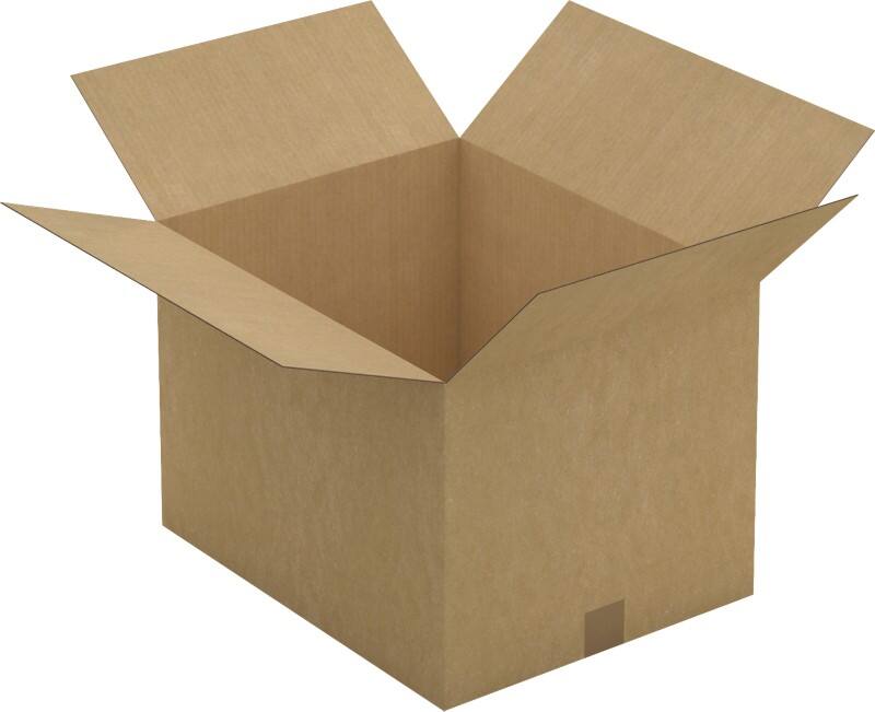 Raja Wellpappkarton CAS49A Braun 20 Stück