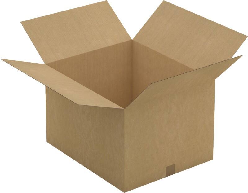 Boîte d'expédition RAJA Paroi simple Carton 490 (l) x 590 (P) x 360 (H) mm Brun 10 Unités
