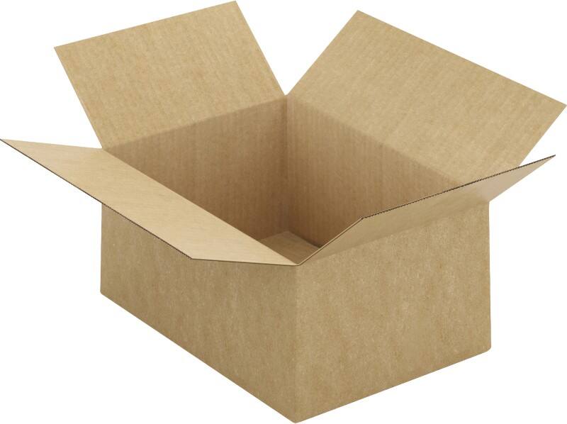 Raja Wellpappkarton CFA260 Braun 20 Stück