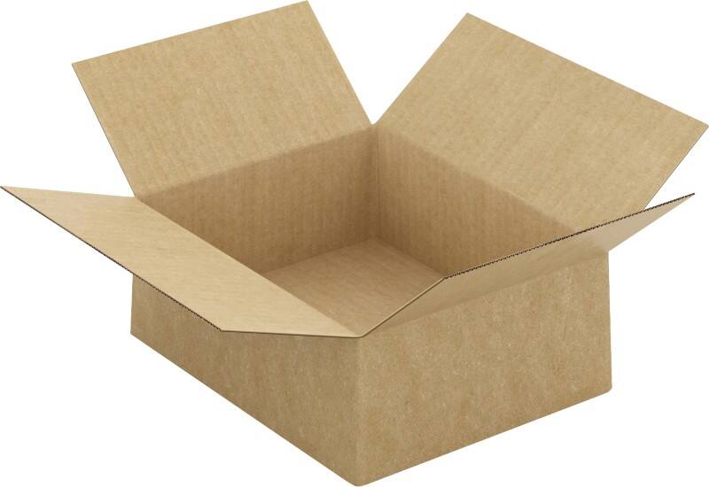 Raja Wellpappkarton CFA220 250 x 200 x 100 mm Braun 20 Stück