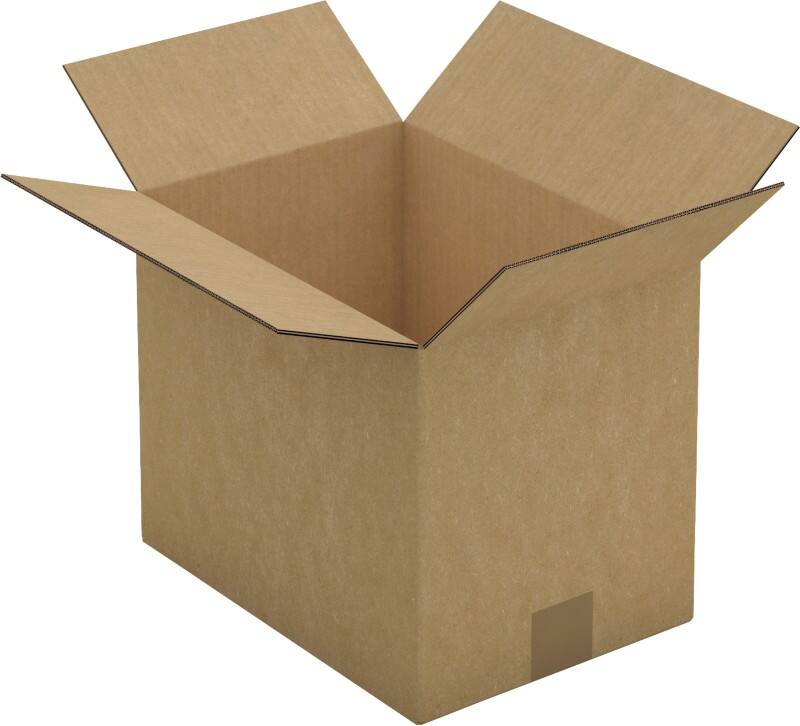 Raja Wellpappkarton CAD05C Braun 15 Stück