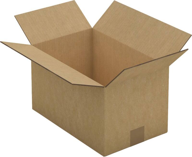 Raja Wellpappkarton CAD07 Braun 15 Stück
