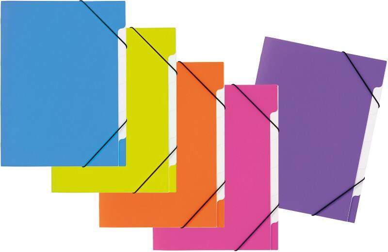PAGNA Fächermappe A4 Unbeschriftet Polypropylen 5 Fächer Mehrfarbig 24,5 (B) x 4 (T) x 32 (H) cm 5 Stück