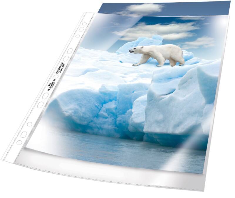 Pochettes perforées DURABLE Premium A4 Granuleux Transparent 80 microns PP (Polypropylène) Ouverture par le haut 11 perforations 2683 100 unités